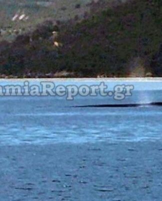 Φάλαινα εμφανίστηκε ανοιχτά του Θεολόγου, στον Βόρειο Ευβοϊκό