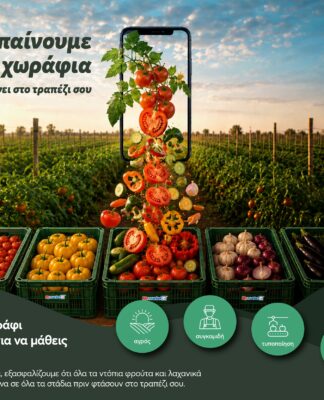 Ξέρεις τι βάζεις στο τραπέζι σου; Στα My market ξέρεις.