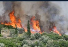 Οι φλόγες έφτασαν στην Ψάθα – Εκκενώνεται μέσω 112, αναφορές για έκρηξη στο Πεδίο Βολής Μεγάρων