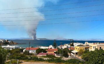 Τραγωδία από την φωτιά στην Σαλαμίνα
