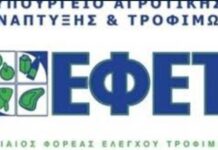 Ο ΕΦΕΤ ανακαλεί πιάτα, δοχεία φαγητού και κουτάλια που διαφημίζονται ως «μπαμπού» αλλά είναι πλαστικά