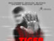 Η Σοφία Βγενοπούλου παρουσιάζει το «TIGER» στο Αμφι-θέατρο Σπύρου Α. Ευαγγελάτου
